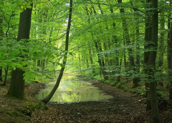 Hotel Vakantiehuis Eekhoorn Veluwe *