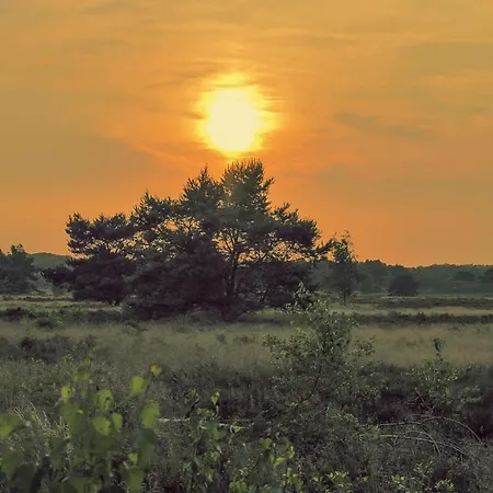 Hotel Vakantiehuis Eekhoorn Veluwe Nunspeet