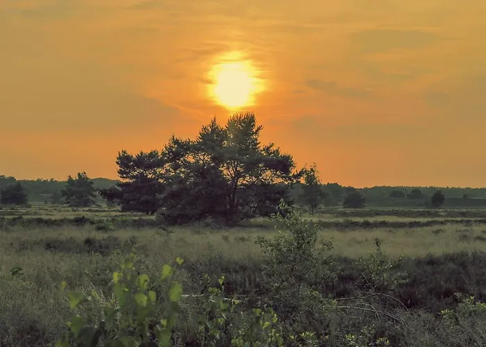 호텔 Vakantiehuis Eekhoorn Veluwe 넌스피트